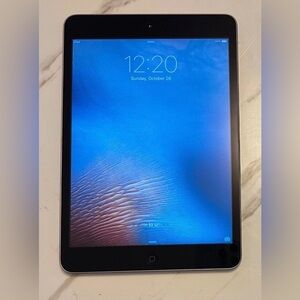 Apple iPad Mini 1st Gen 16GB Grey Wi-Fi 7.9in